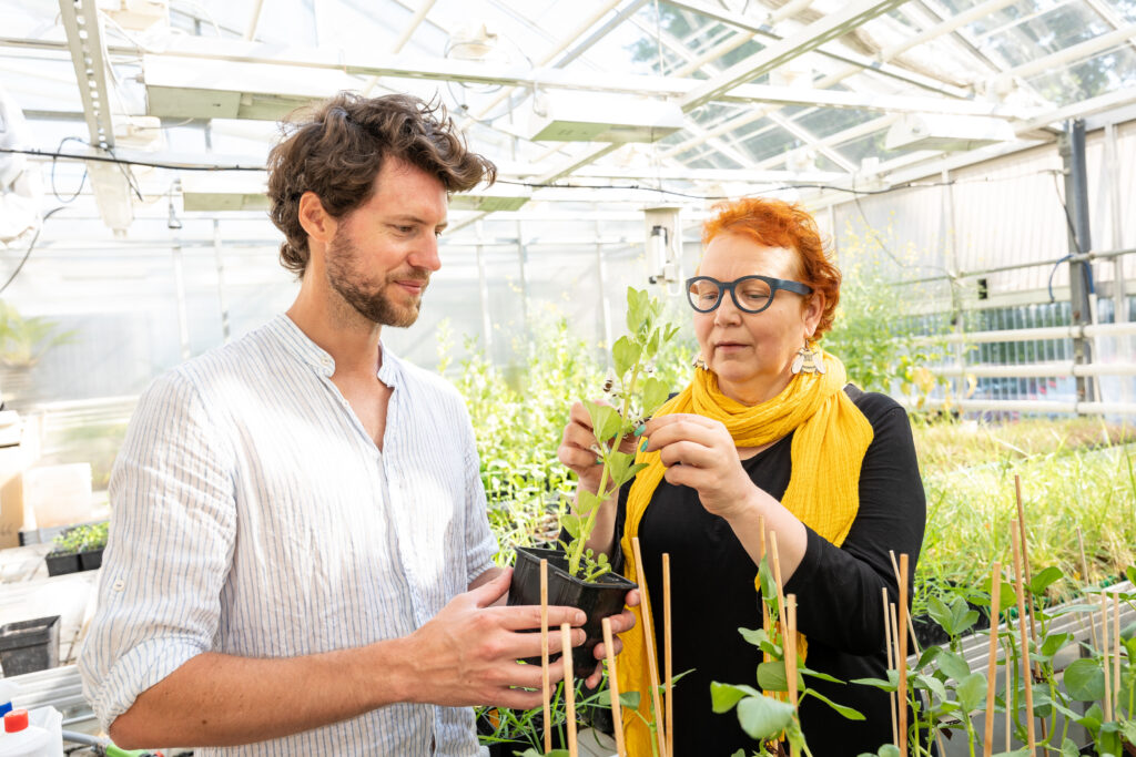 Benjamin Fuchs och Marjo Helander fortsätter sin glyfosatforskning och gör fältarbete med växter och pollinerare på Runsala.