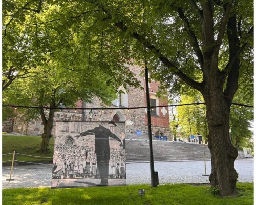 Opus 6, konstutställning i Åbo domkyrkopark. Konstnär Vesa Aaltonen.